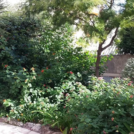 Lägenhet Avec Jardin *